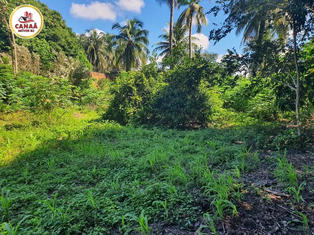 Terreno, 2 hectares - Foto 14