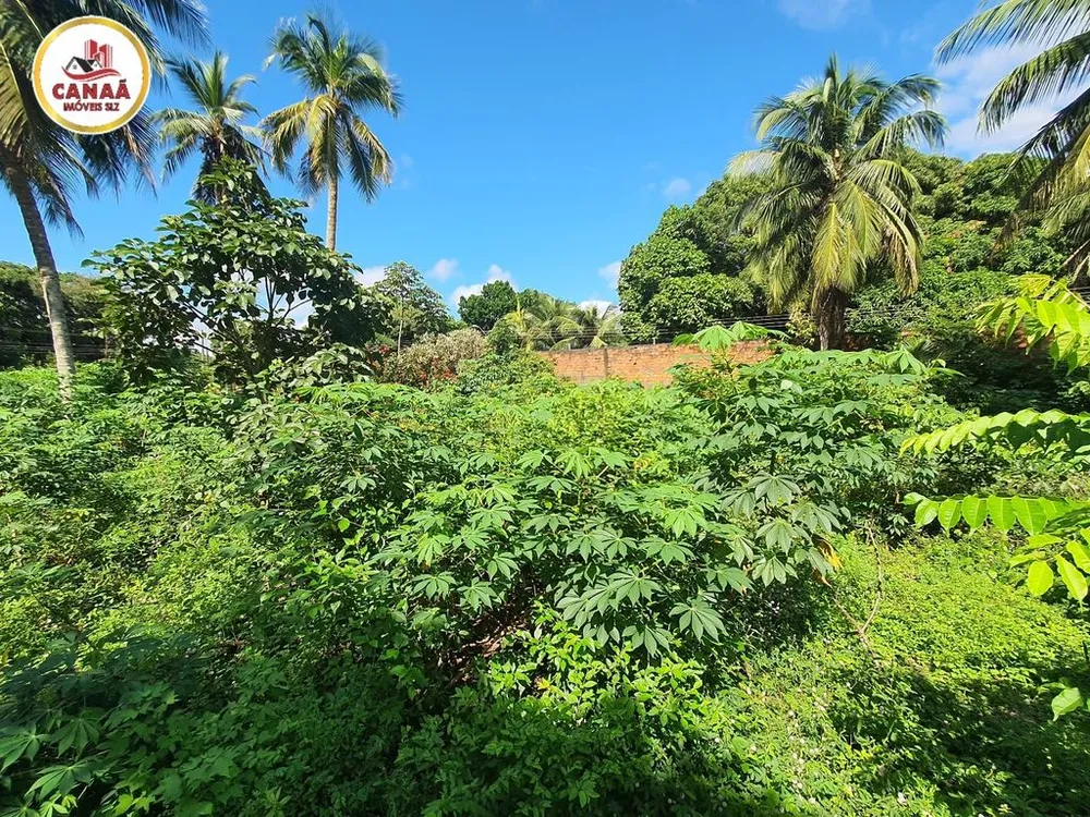 Terreno, 2 hectares - Foto 11