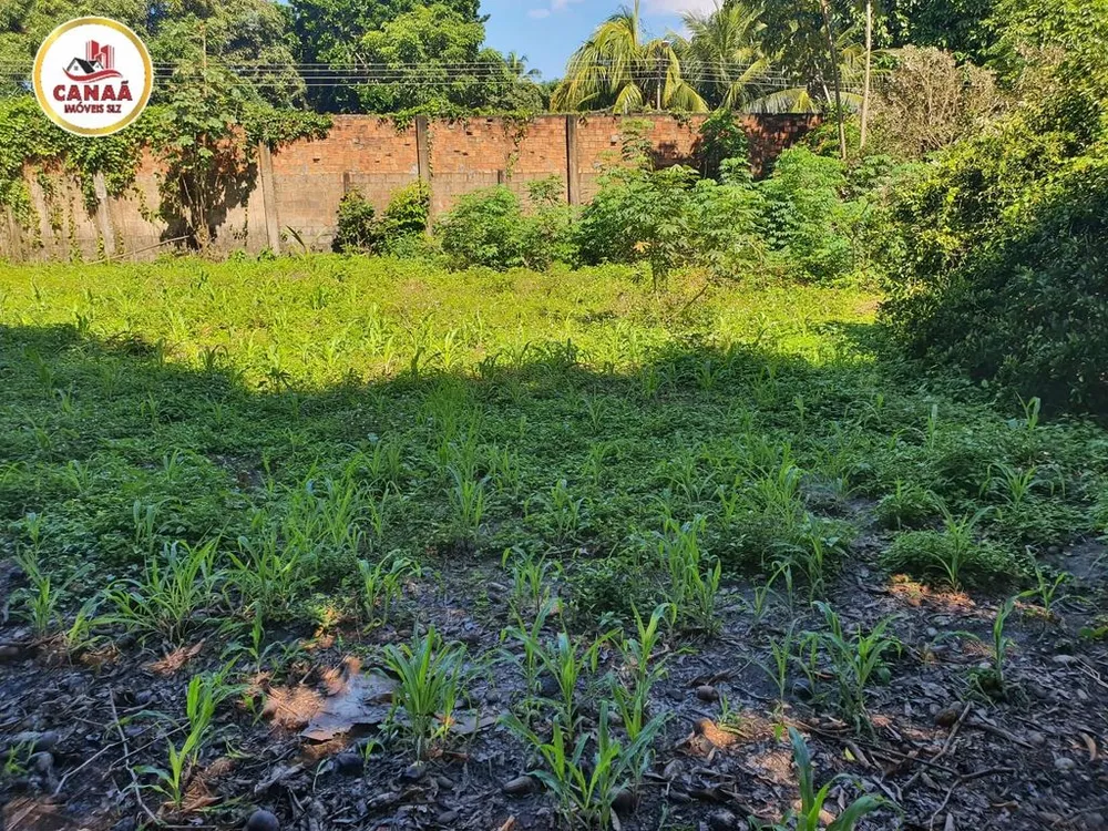 Terreno, 2 hectares - Foto 13