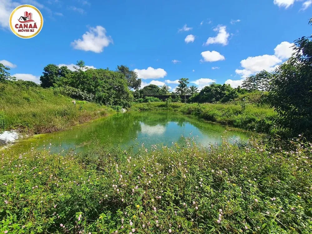 Terreno, 2 hectares - Foto 10