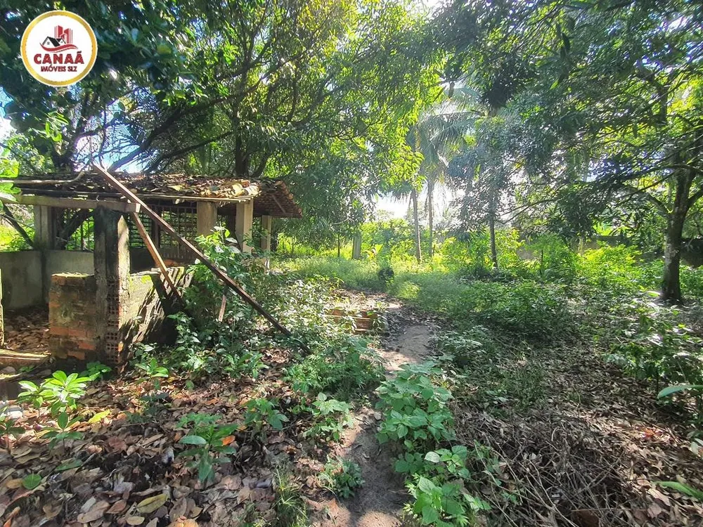 Terreno, 2 hectares - Foto 7