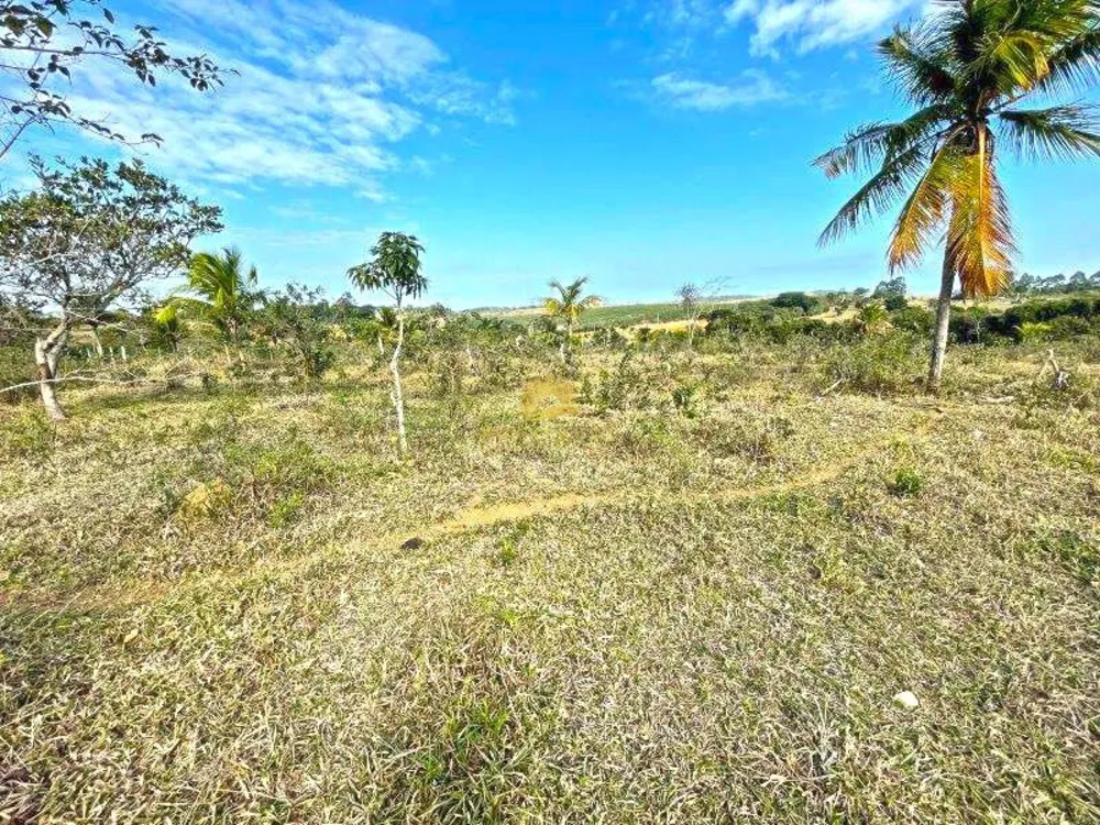 Terreno, 12 hectares - Foto 7