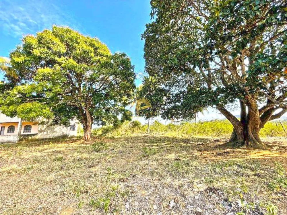 Terreno, 12 hectares - Foto 9