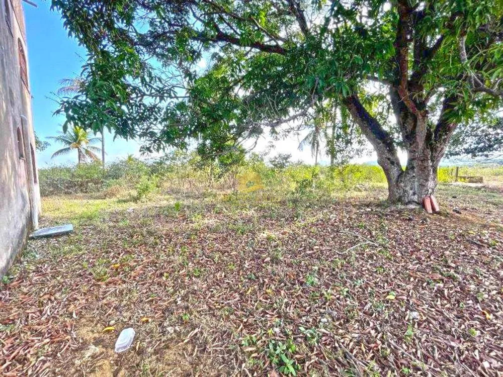 Terreno, 12 hectares - Foto 6