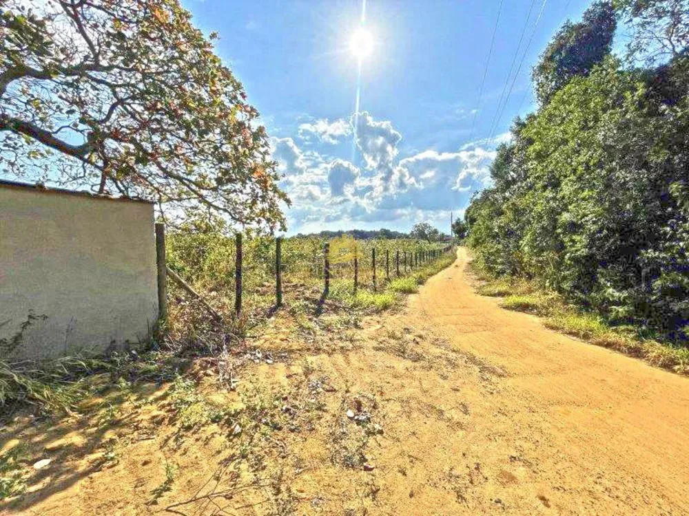Terreno, 12 hectares - Foto 3