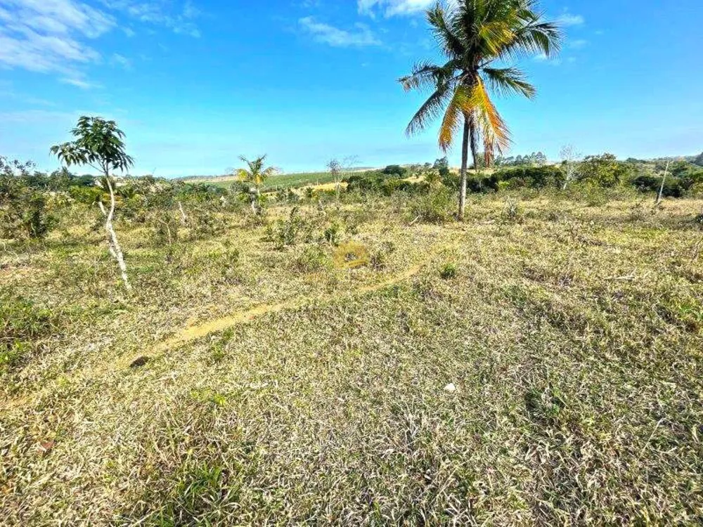 Terreno, 12 hectares - Foto 11