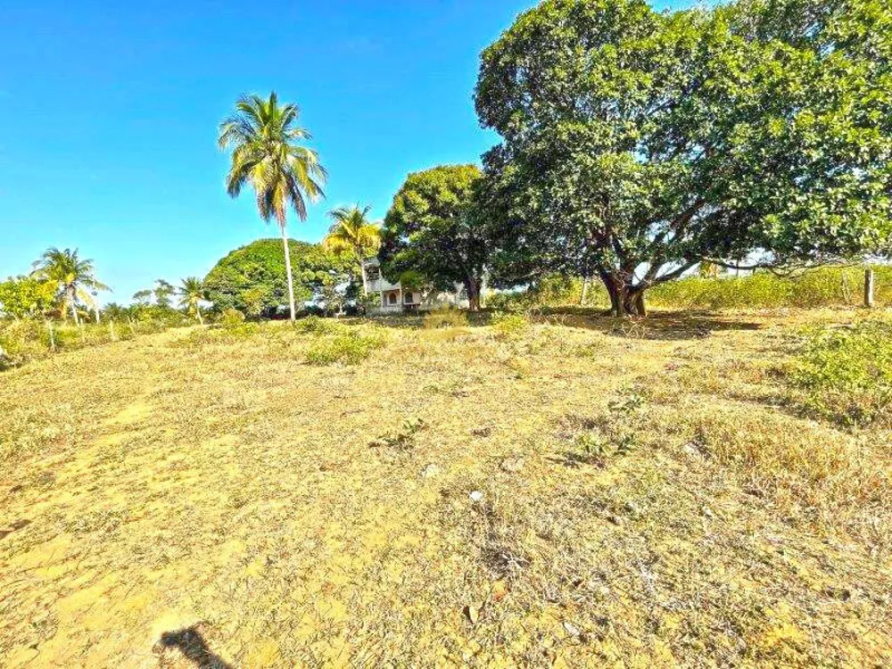 Terreno, 12 hectares - Foto 1