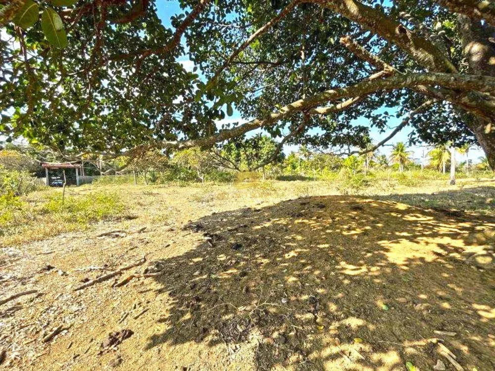 Terreno, 12 hectares - Foto 10