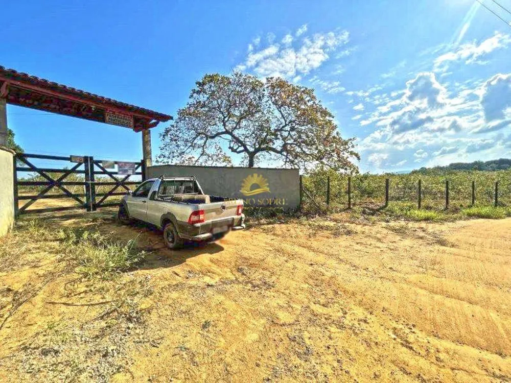 Terreno, 12 hectares - Foto 4