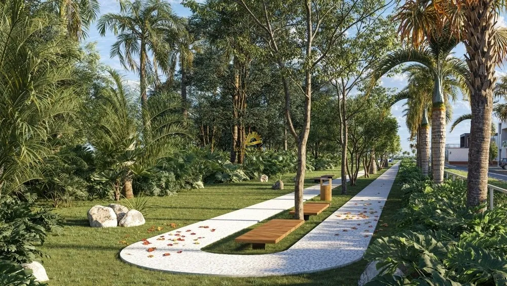 Terreno, 4 hectares - Foto 6