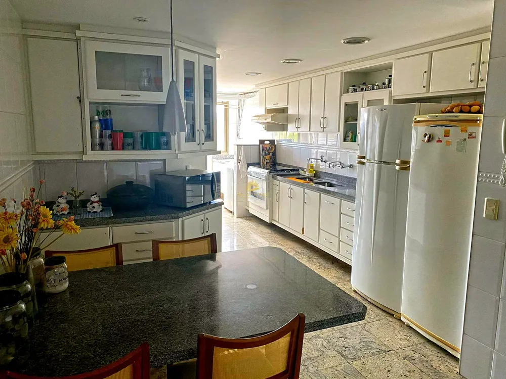 Cobertura, 3 quartos, 230 m² - Foto 6
