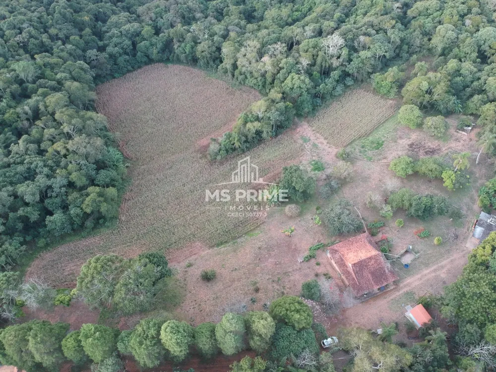 Chácara, 3 quartos, 9 hectares - Foto 8