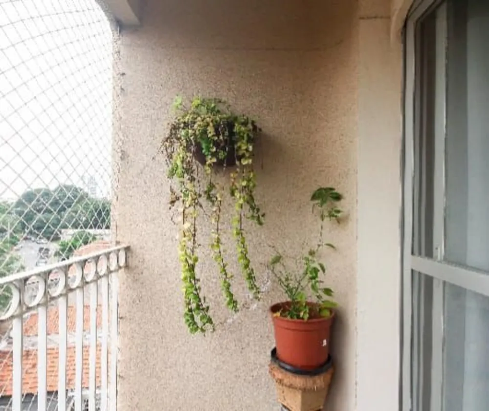 Apartamento, 3 quartos, 74 m² - Foto 3