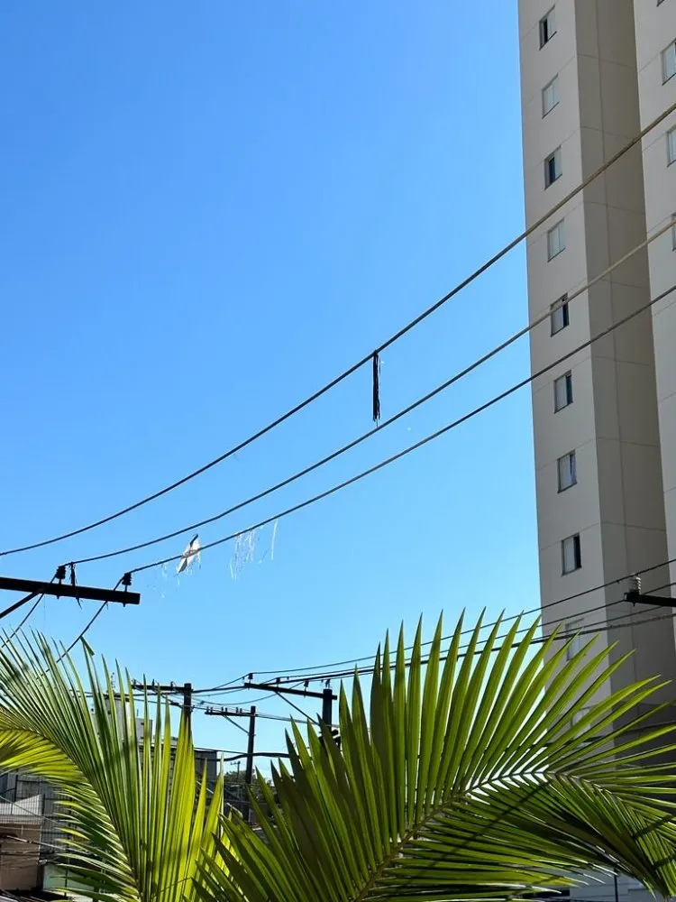 Sobrado, 2 quartos, 96 m² - Foto 16