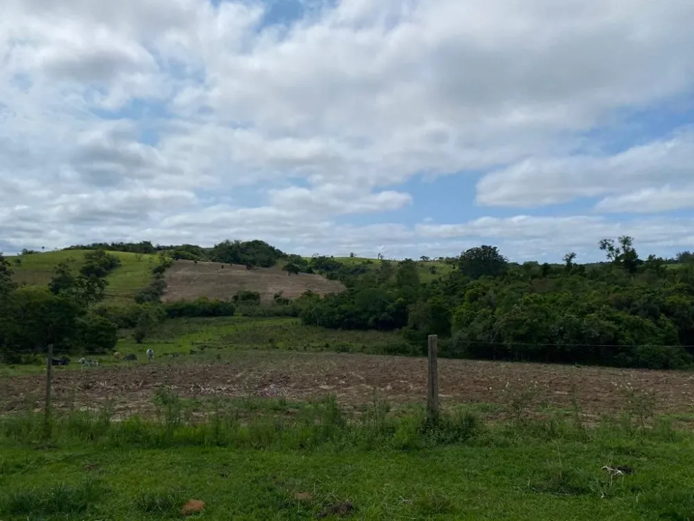 Sítio, 5 quartos, 18150 hectares - Foto 12