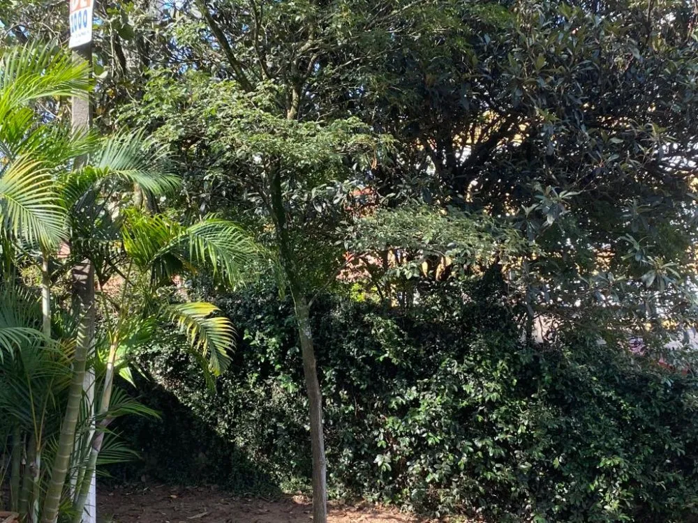 Terreno, 1200 m² - Foto 5