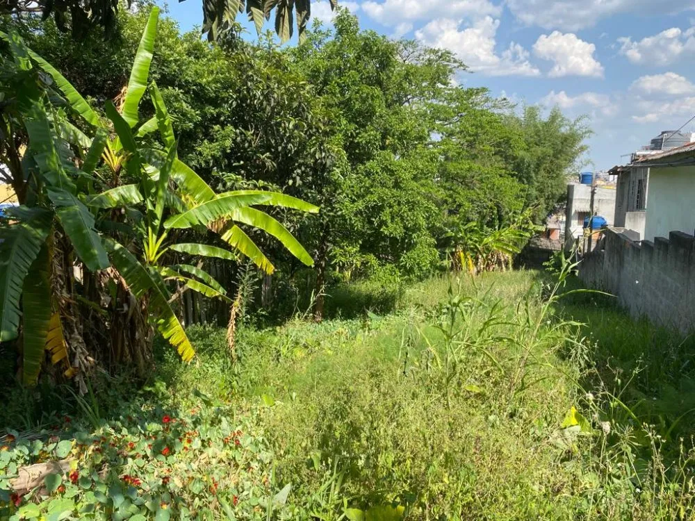 Terreno, 1200 m² - Foto 12