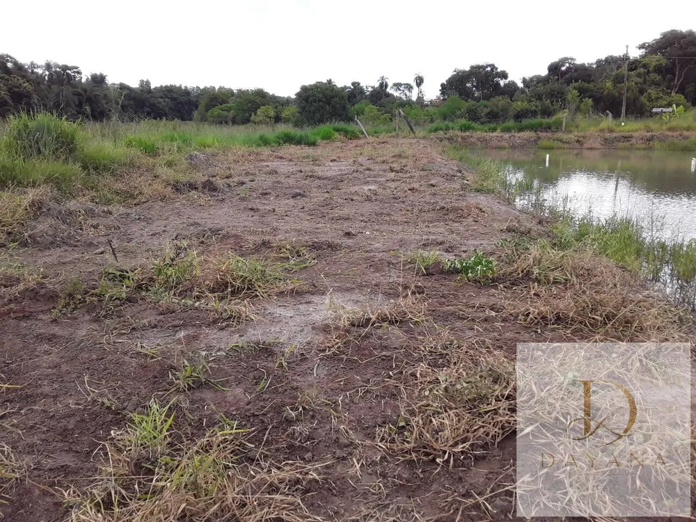 Terreno, 2 hectares - Foto 3