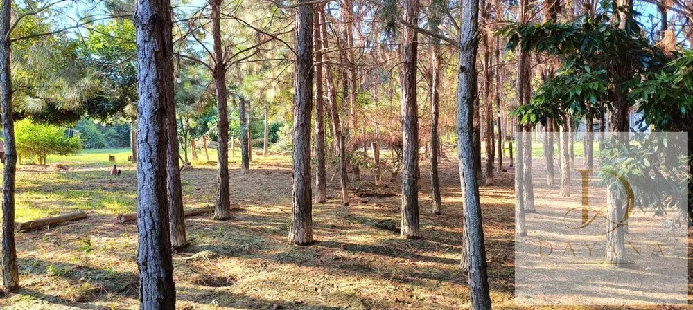 Sítio, 2 quartos, 1 hectares - Foto 10