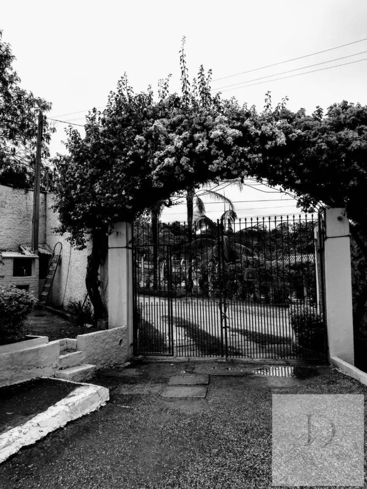 Sítio, 4 quartos, 1 hectares - Foto 9