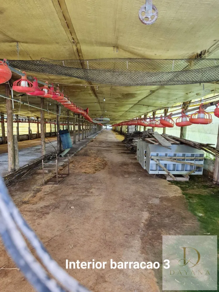Terreno, 2 m² - Foto 14
