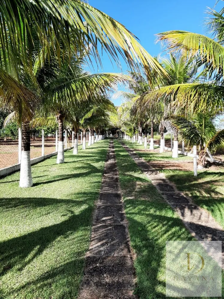 Sítio, 3 quartos, 103 hectares - Foto 1