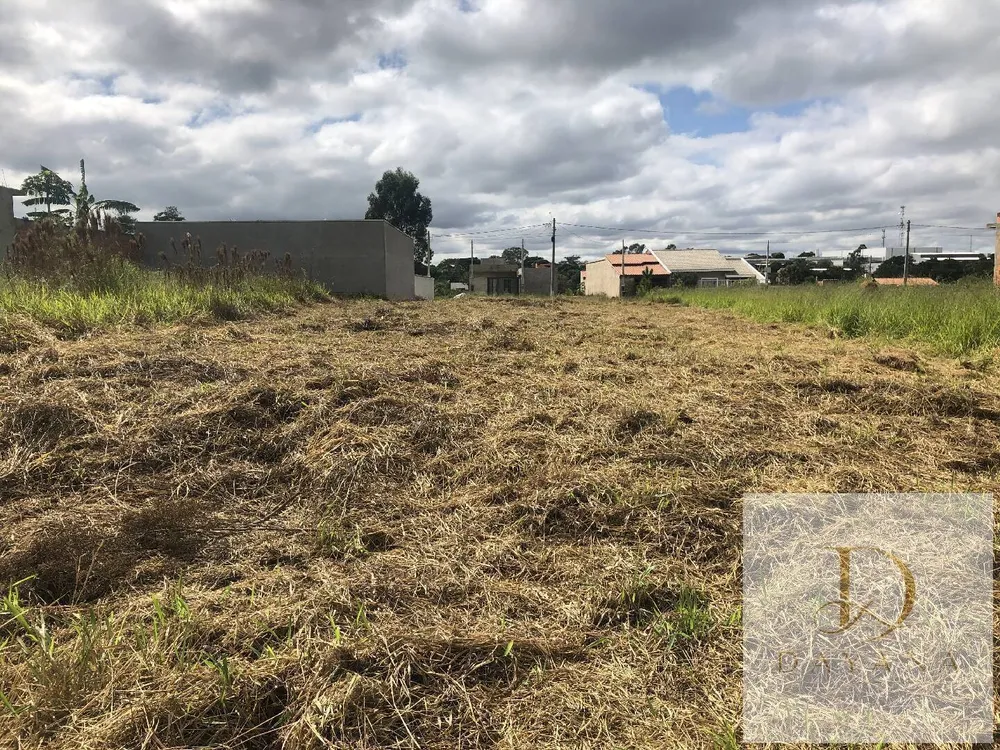 Terreno, 300 m² - Foto 3