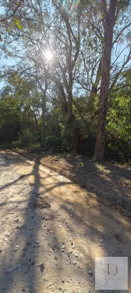 Chácara, 2 quartos, 1000 m² - Foto 7