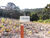 Terreno, 450 m² - Foto 17