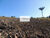 Terreno, 450 m² - Foto 10