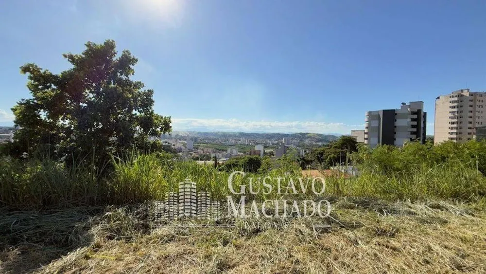 Terreno, 276 m² - Foto 3
