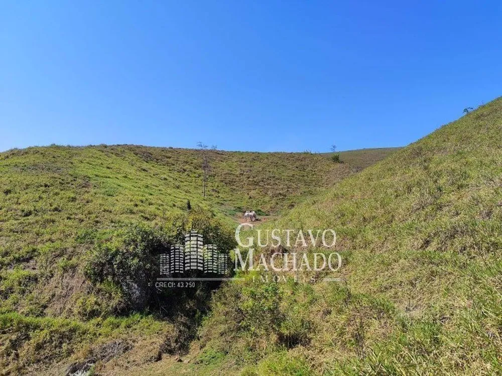 Chácara, 3 hectares - Foto 11