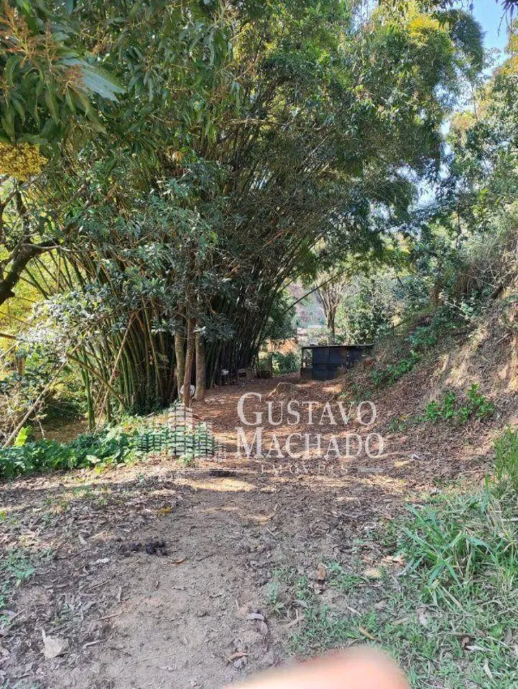 Chácara, 3 hectares - Foto 16