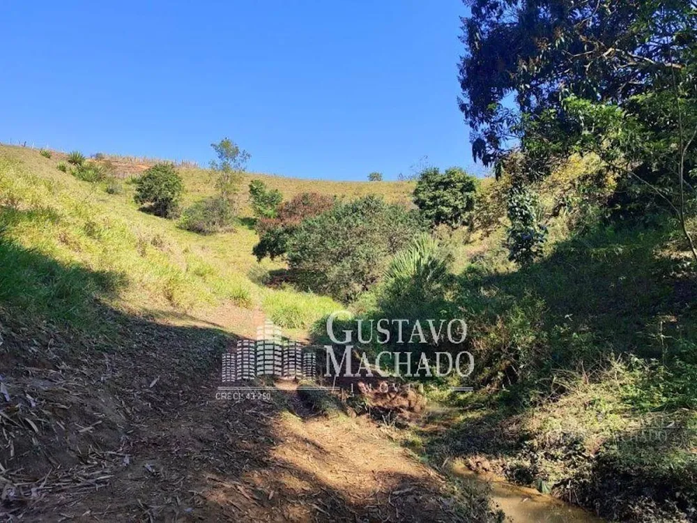 Chácara, 3 hectares - Foto 18