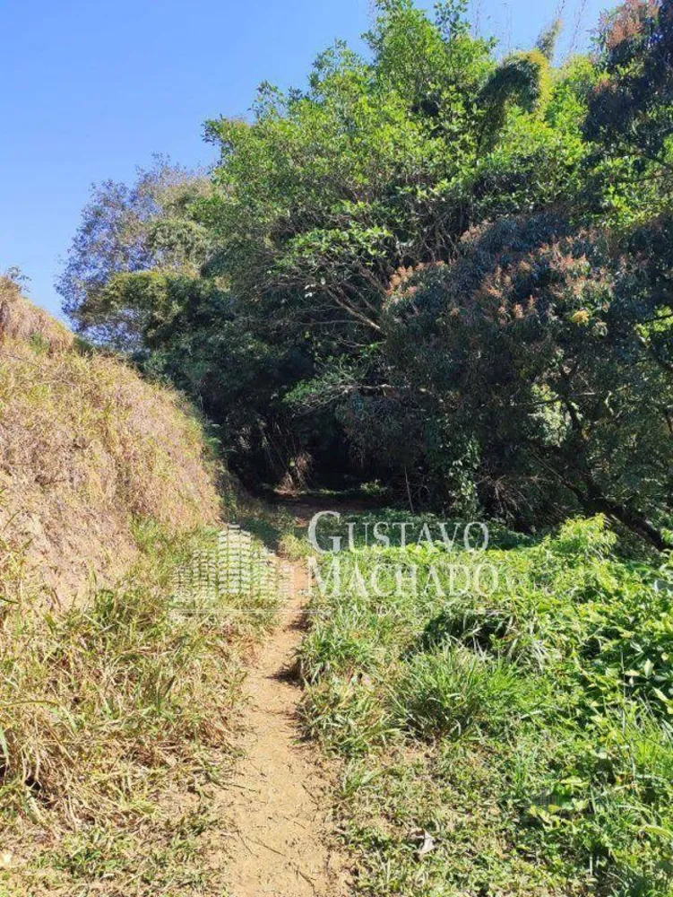 Chácara, 3 hectares - Foto 17