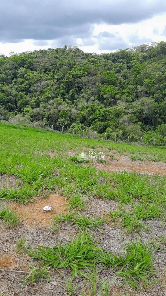 Loteamento e Condomínio, 289 m² - Foto 4