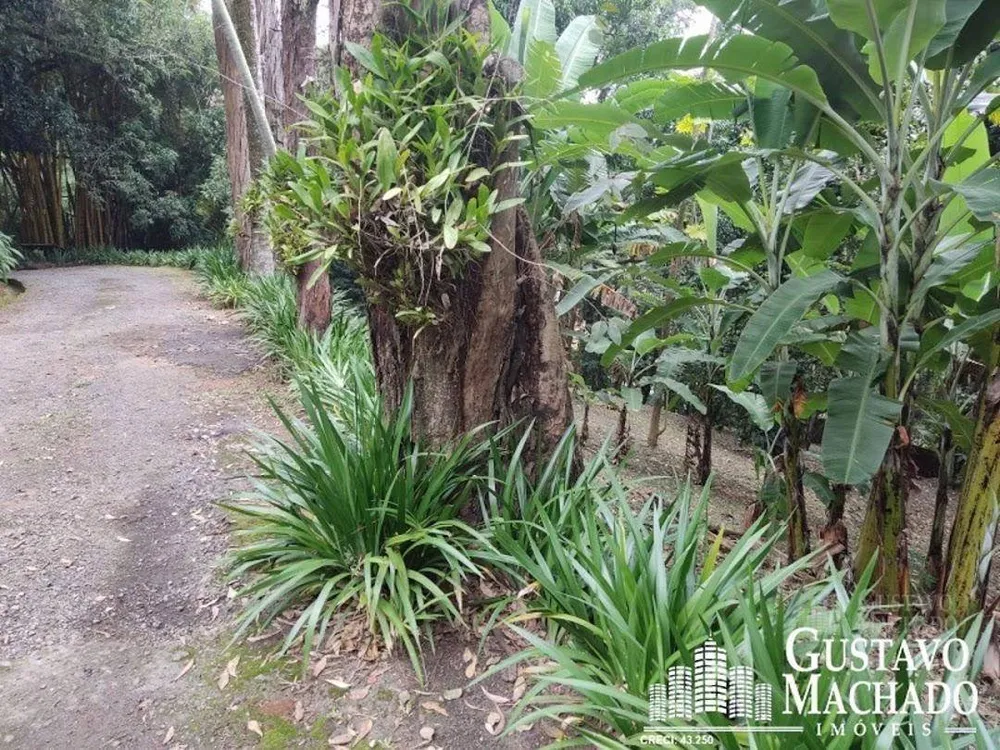 Chácara, 4 quartos, 1 hectares - Foto 83