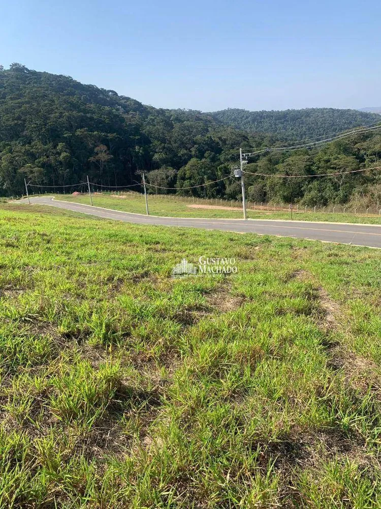 Loteamento e Condomínio, 243 m² - Foto 3