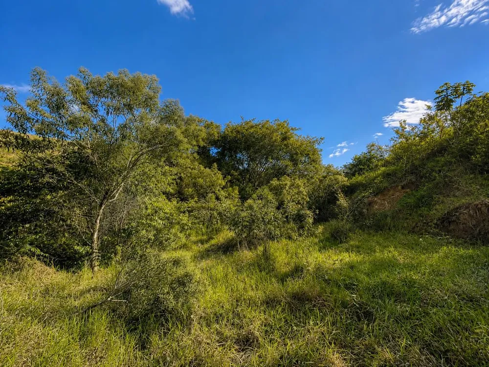 Terreno, 49 hectares - Foto 6