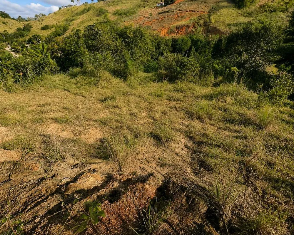 Terreno, 49 hectares - Foto 8