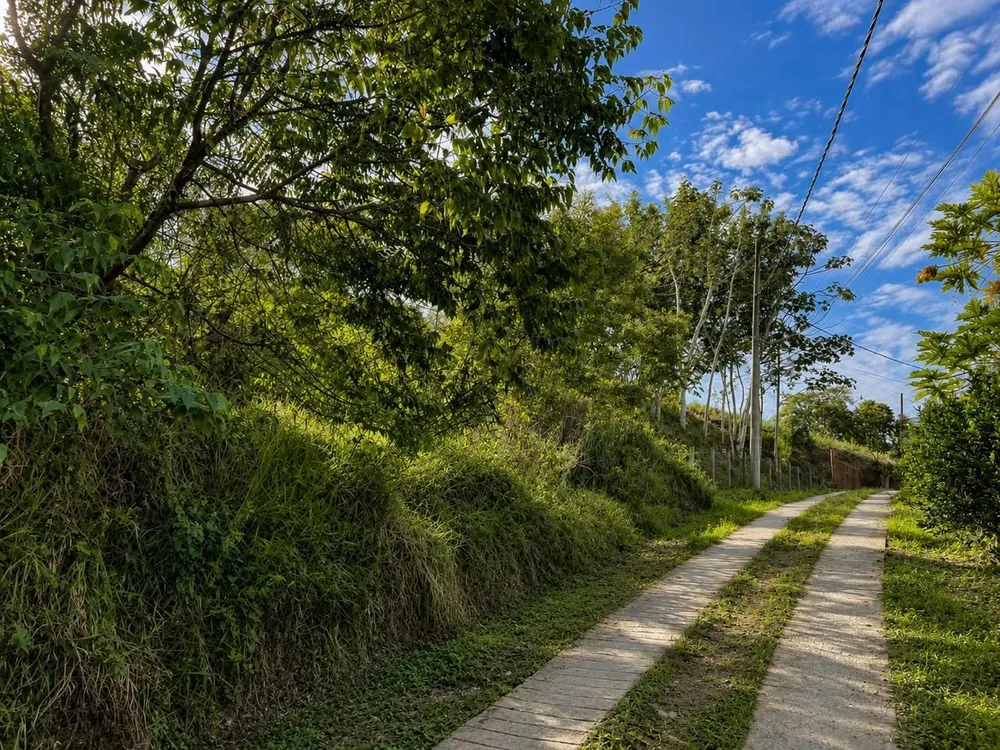 Terreno, 49 hectares - Foto 4