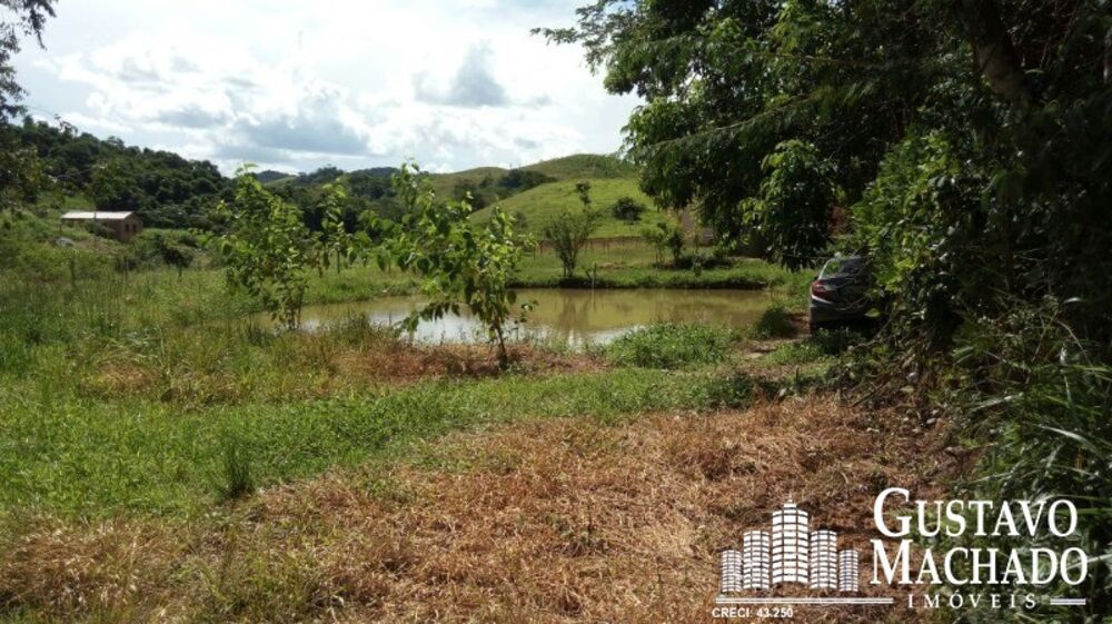 Terreno, 2 hectares - Foto 4