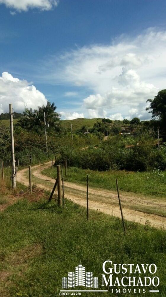 Terreno, 2 hectares - Foto 3
