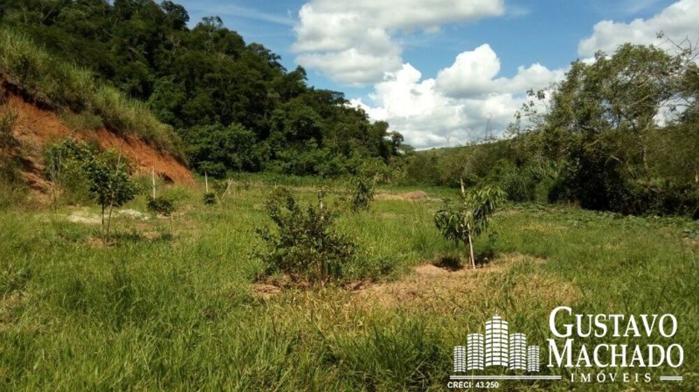 Terreno, 2 hectares - Foto 2