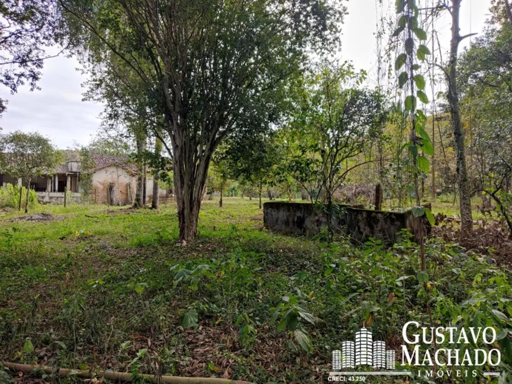 Chácara, 3 quartos - Foto 7