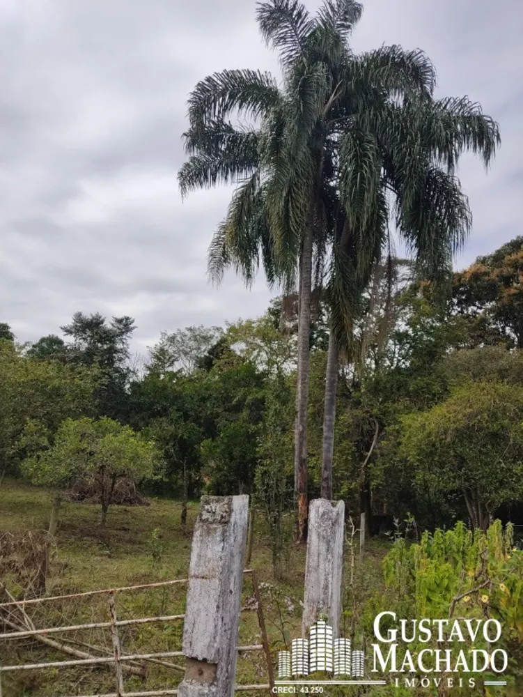 Chácara, 3 quartos - Foto 15