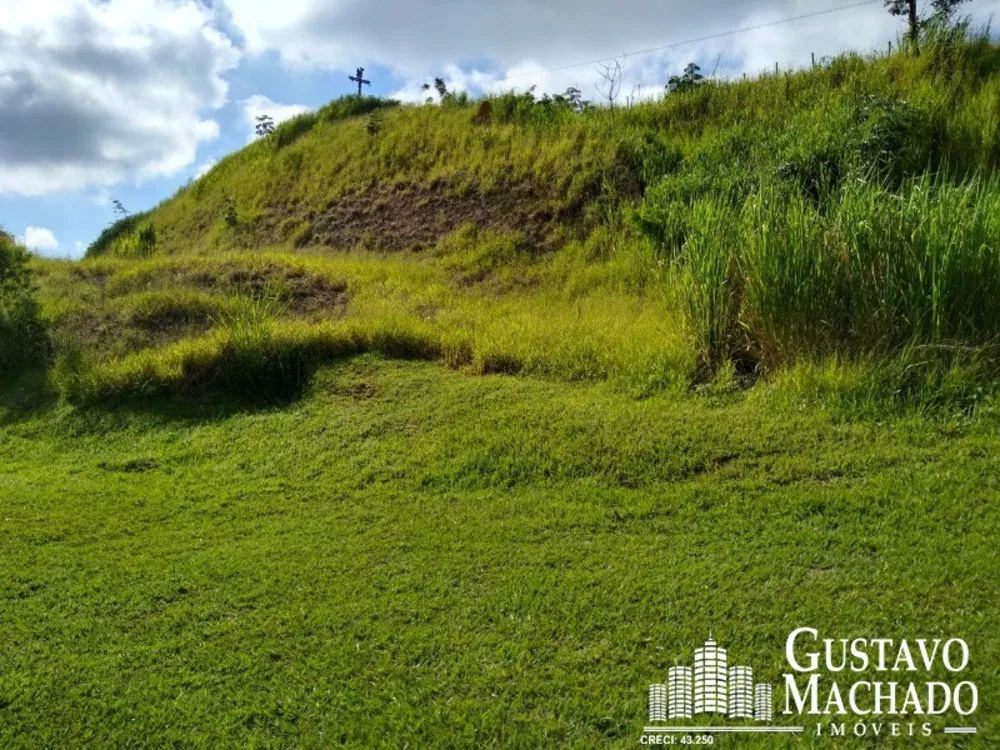 Terreno, 2 hectares - Foto 2