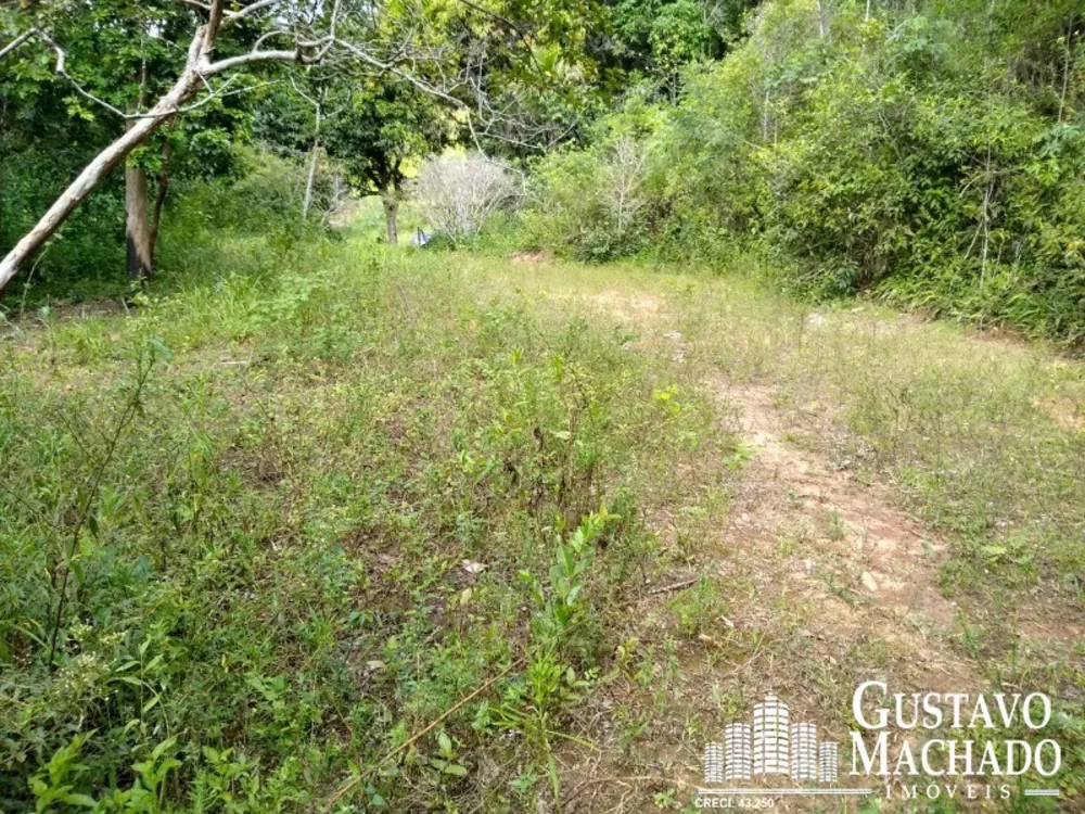 Terreno, 2 hectares - Foto 7