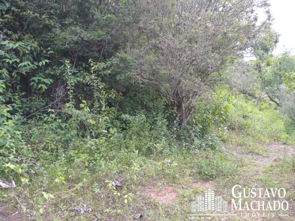 Terreno, 2 hectares - Foto 5