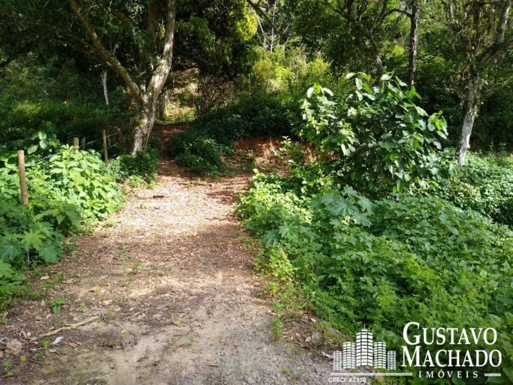 Terreno, 2 hectares - Foto 6